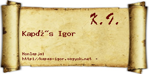 Kapás Igor névjegykártya